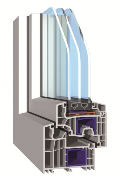 Salamander Blue Evolution Salamander Blue Evolution